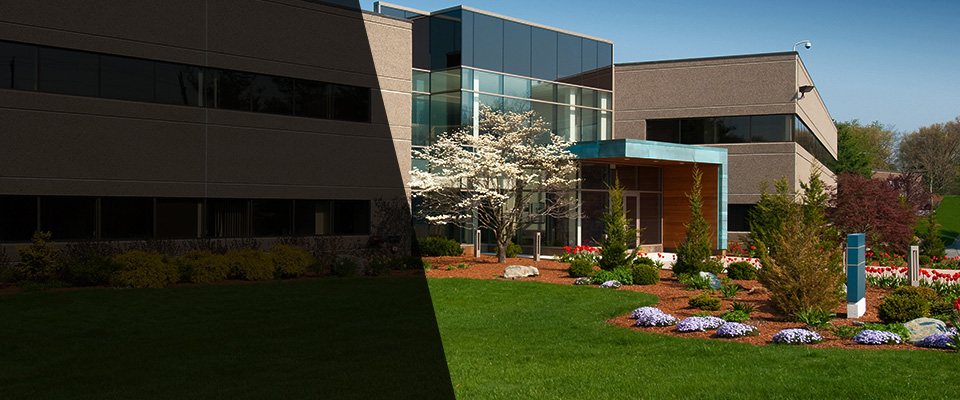 Elk Grove Village Landscapers