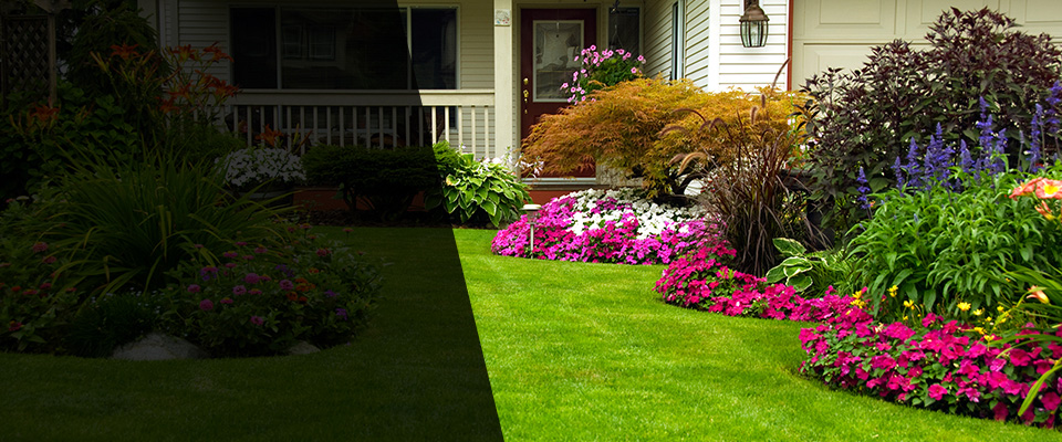Elk Grove Village Landscapers