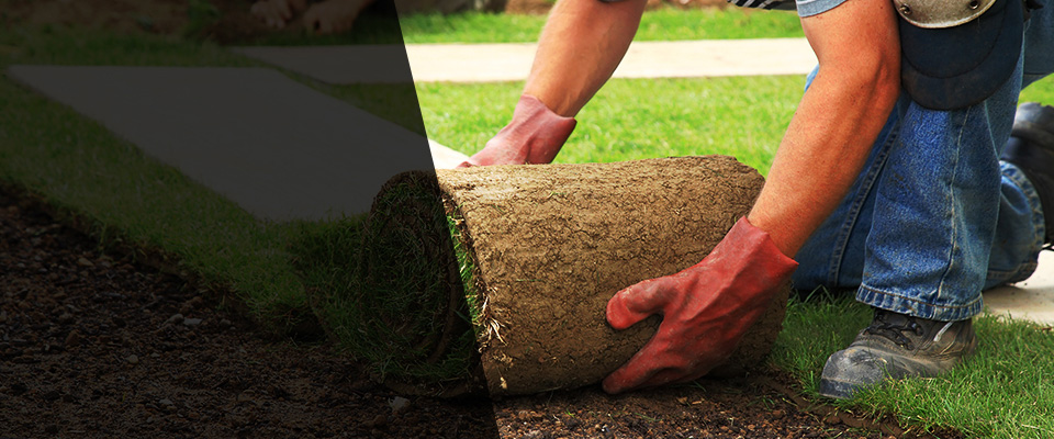 Elk Grove Village Landscapers